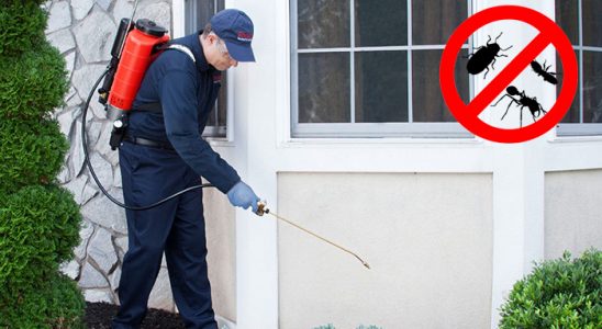 Kaş Akrep İlaçlama böcek ilaçlama ve haşere kontrolü — ilaclama-tr.com